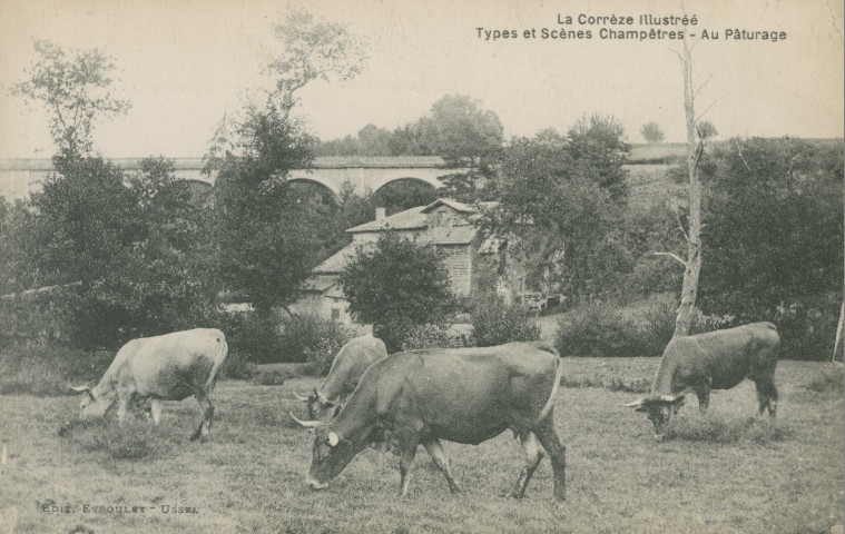 Folklore : "La Corrèze illustréé - Types et scènes champêtres - Au pâturage". (sic)