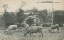 Folklore : "La Corrèze illustréé - Types et scènes champêtres - Au pâturage". (sic)