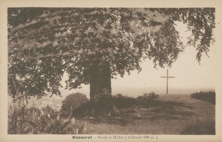 Masseret : "Masseret - Sous le hêtre (altitude 600 m.)".