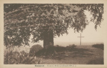 Masseret : "Masseret - Sous le hêtre (altitude 600 m.)".