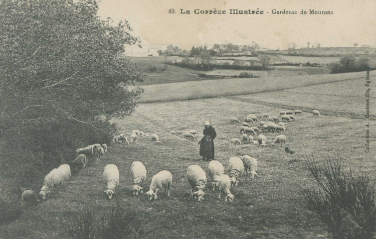 Folklore : "49 . La Corrèze illustrée - Gardeuse de moutons".