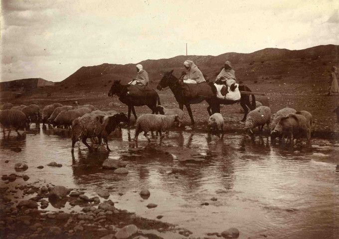 Abreuvage des moutons dans l'oued, hommes à dos de bourricots.
