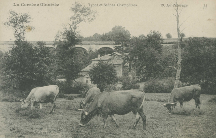 Folklore : "La Corrèze illustrée - Types et scènes champêtres - 13. Au pâturage".