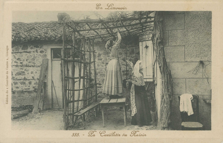 Folklore : "En Limousin - 333. La cueillette du raisin".