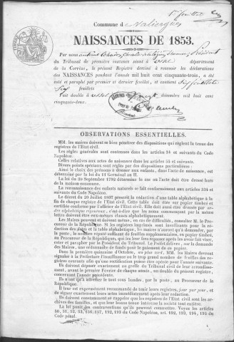 Naissances, mariages, décès (1853-1862)