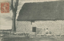 Bugeat : "Corrèze - Bugeat - Départ des moutons pour le pâturage".