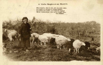 "4. Vieille bergère et ses moutons".