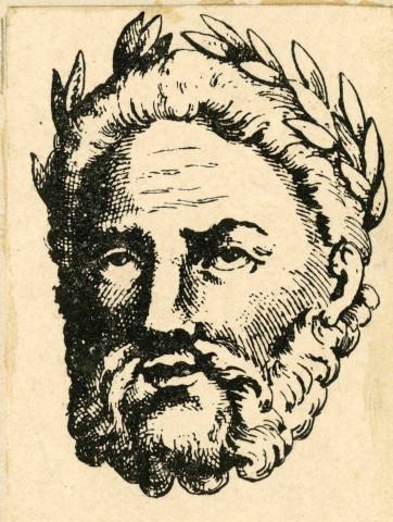 Buste masculin, vue de face.