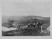 Opération Cadillac.