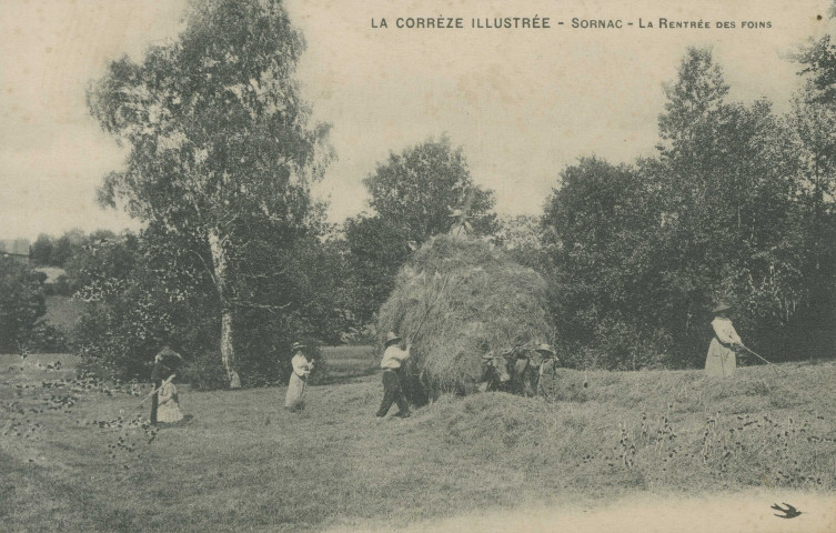 Sornac : "La Corrèze illustrée - Sornac - La rentrée des foins".