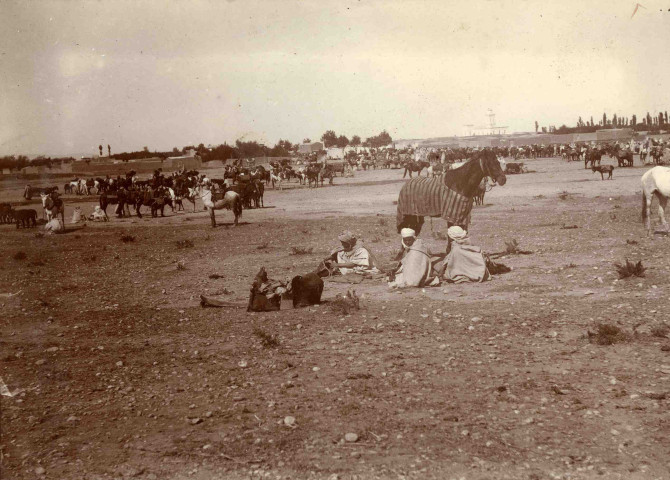 Vue générale du marché.