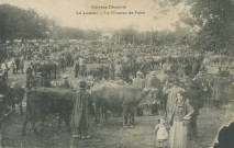 Le Lonzac : "Corrèze illustrée - Le Lonzac - Le champs de foire". (sic)