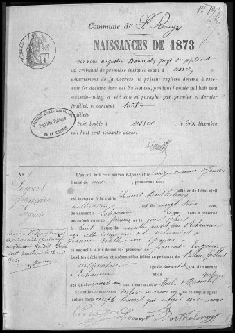 Naissances, mariages, décès (1873-1882)