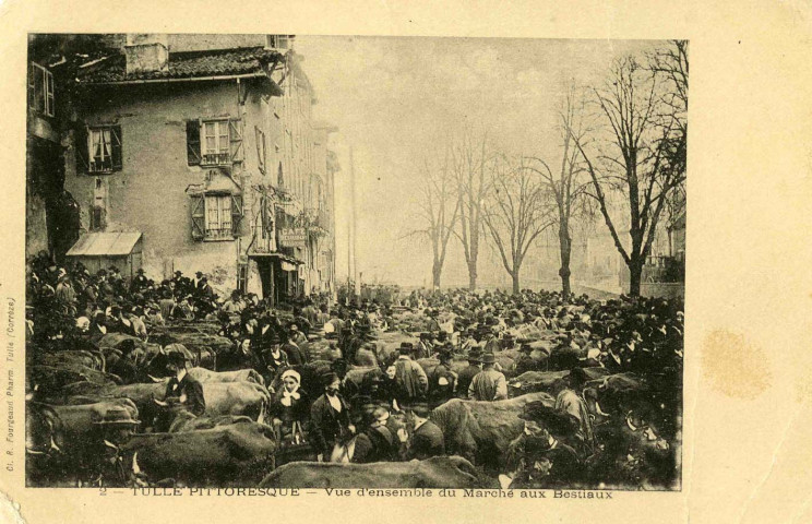 "2 - Tulle pittoresque - Vue d'ensemble du Marché aux Bestiaux".