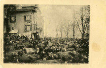 "2 - Tulle pittoresque - Vue d'ensemble du Marché aux Bestiaux".