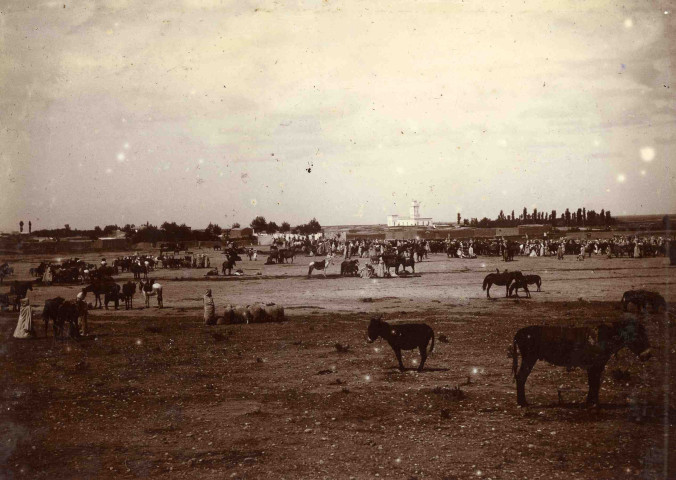 Le marché des chevaux et des ânes.
