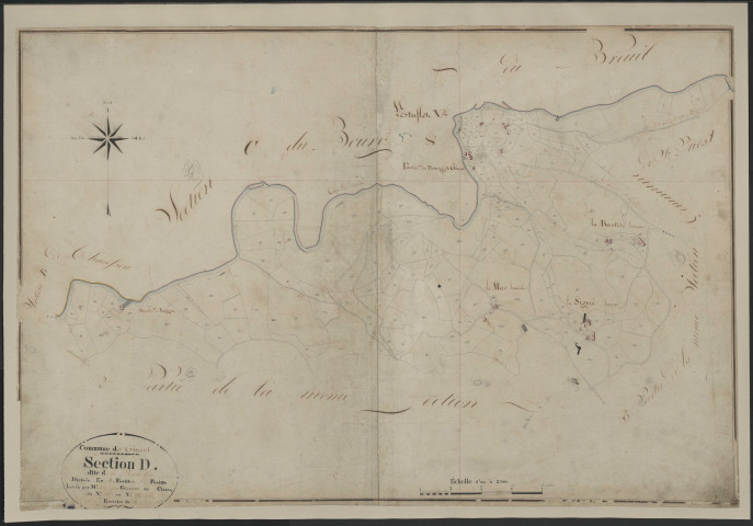 Section D1 de la Bachelerie