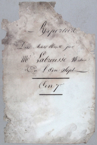 Répertoire chronologique : 12 nivôse an VII-9 vendémiaire An X