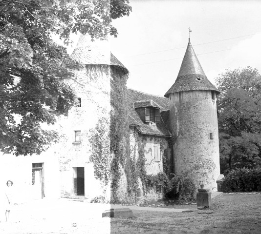 Altillac : château de la Raufie.