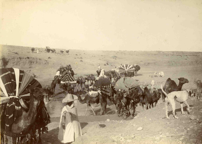 Caravane en transit.