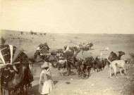 Caravane en transit.