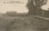 Bugeat : "Beaux sites limousin - Bugeat (Corrèze) - Un troupeau bien gardé".