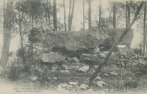Corrèze : "500 - Paysage du Centre - Monument druidique".