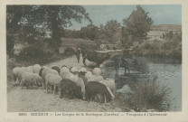 Marcillac-la-Croisille : "6260 Nougein - Les gorges de la Dordogne (Corrèze) - Troupeau à l'abreuvoir".