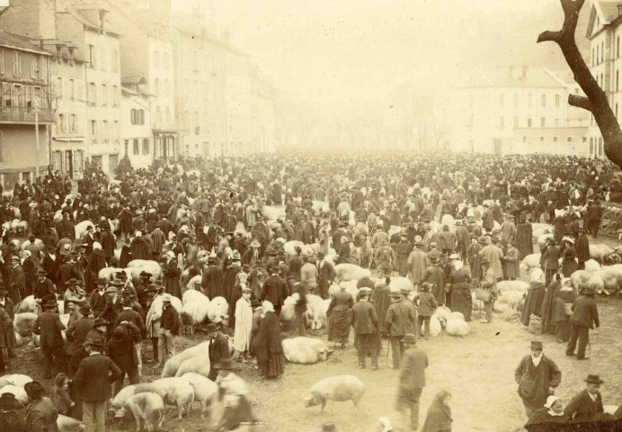 Foire aux bestiaux, place du Champ-de-Mars.