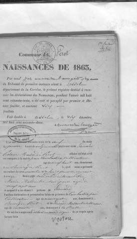 Naissances, mariages, décès (1863-1872)