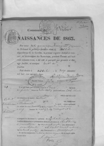 Naissances, mariages, décès (1863-1872)