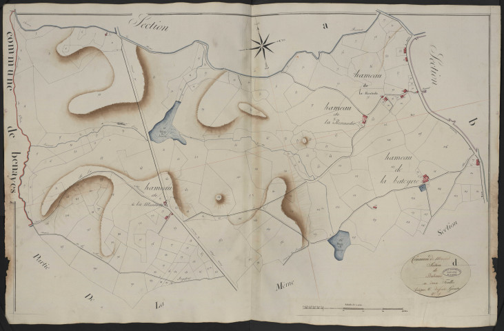 Section D1 de Rabaud
