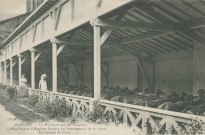 Beyssac : "Corrèze - Le Préventorium du Glandier (Office public d'hygiène sociale du Département de la Seine) - La galerie de cure".
