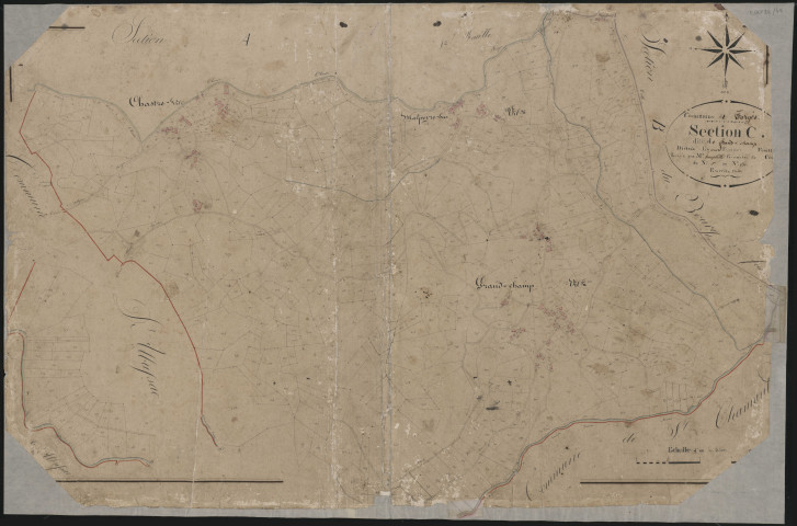 Section Cu de Grand Champ