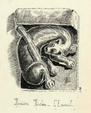L'écureuil.
