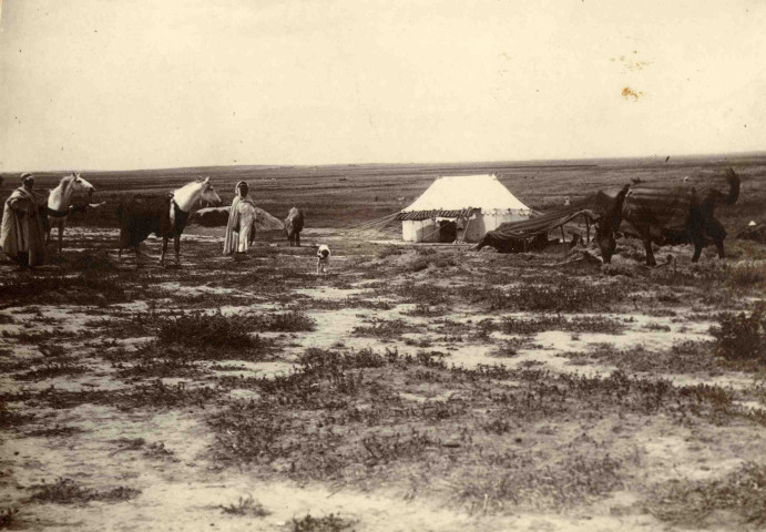 Vue générale de la grande tente du caïd.