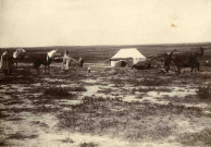 Vue générale de la grande tente du caïd.