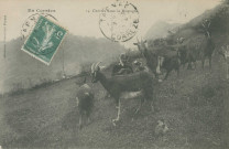 Folklore : "En Corrèze - 14. Chèvres dans la montagne".