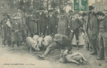 Folklore : "Scènes chamêptres - A la foire". (sic)