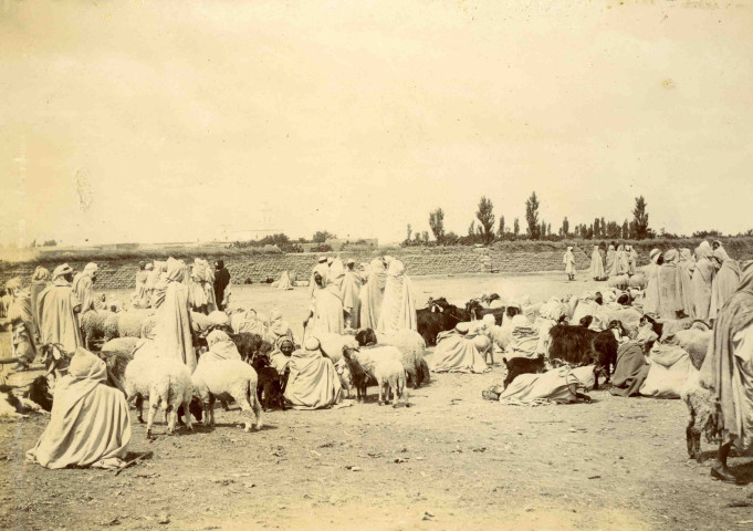 Marchands de moutons.