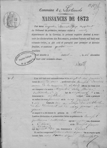 Naissances, mariages, décès (1873-1882)