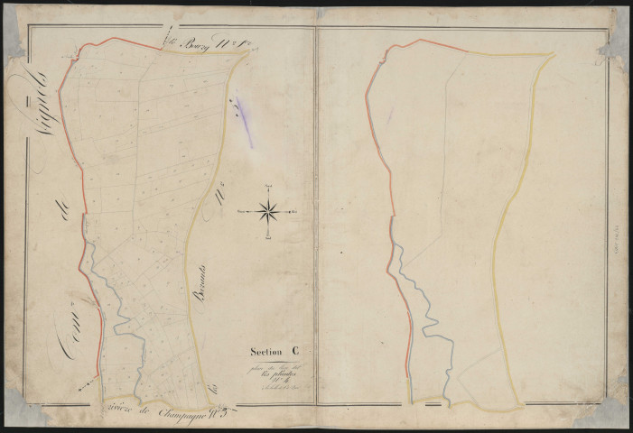 Section C4 des Plantes