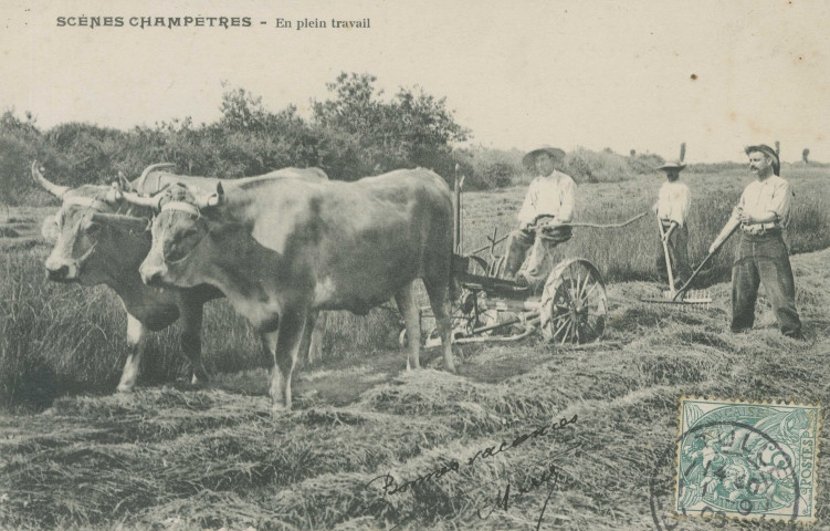 Folklore : "Scènes champêtres - En plein travail".