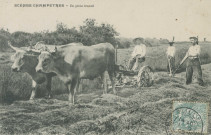 Folklore : "Scènes champêtres - En plein travail".