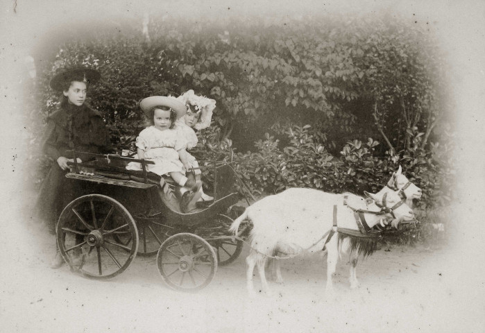 Portrait d'une jeune fille (Marie-Lucie Montagut ?) et deux jeunes enfants (Georgette et Albertine Guinot ?) dans une petite calèche tirée par deux chèvres.
