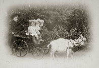 Portrait d'une jeune fille (Marie-Lucie Montagut ?) et deux jeunes enfants (Georgette et Albertine Guinot ?) dans une petite calèche tirée par deux chèvres.