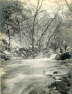 20 mai 1907.