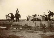 Abreuvage des animaux, chevaux et dromadaires.