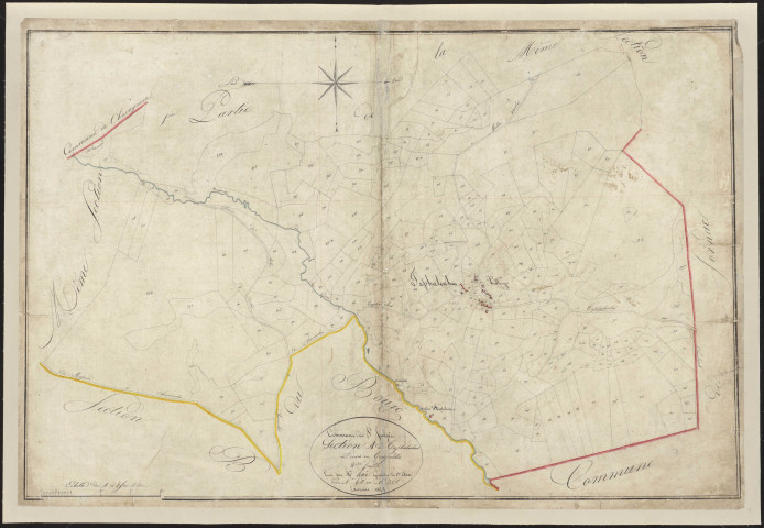 Section A2 de Taphaleschas