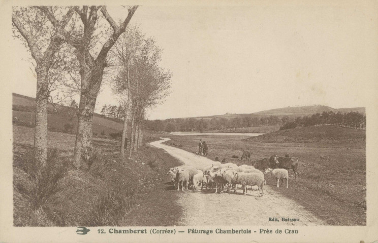 Chamberet : "12. Chamberet (Corrèze) - Pâturage chambertois - Près de Crau".
